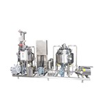 Dual Magnetic Mixing Tank System with Pumps and Bag Filtration