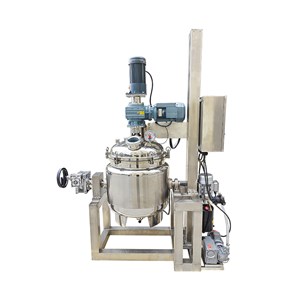 Lift-Type Wall-Scraping Paddle Mixer