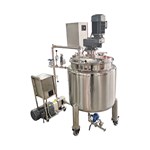 Wall-Scraping Mixing Tank with Rotary-Lobe Pump